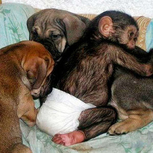 Meet your Posher, A.